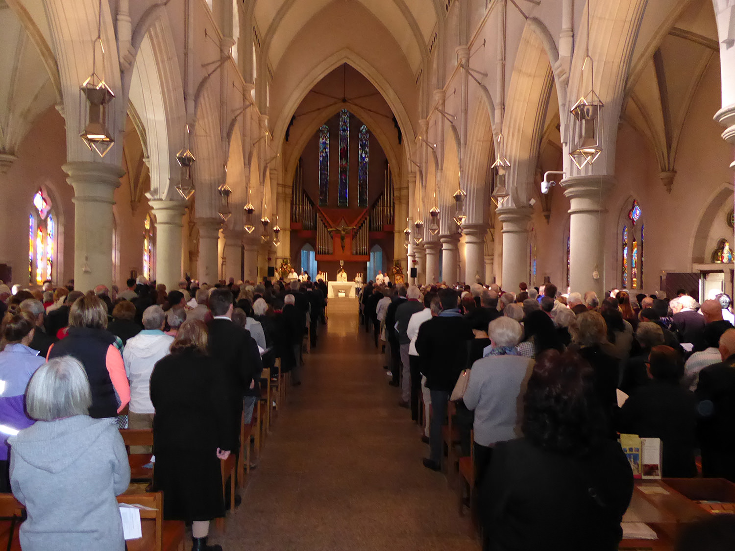 Congregation at St Stephen’s Cathedral on the Solemnity of Saint Mary of the Cross Mackillop Mass 2015