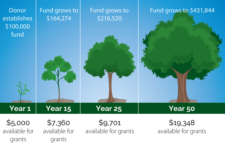 Actualizar 32 Imagem Endowment Fund Br thptnganamst edu vn