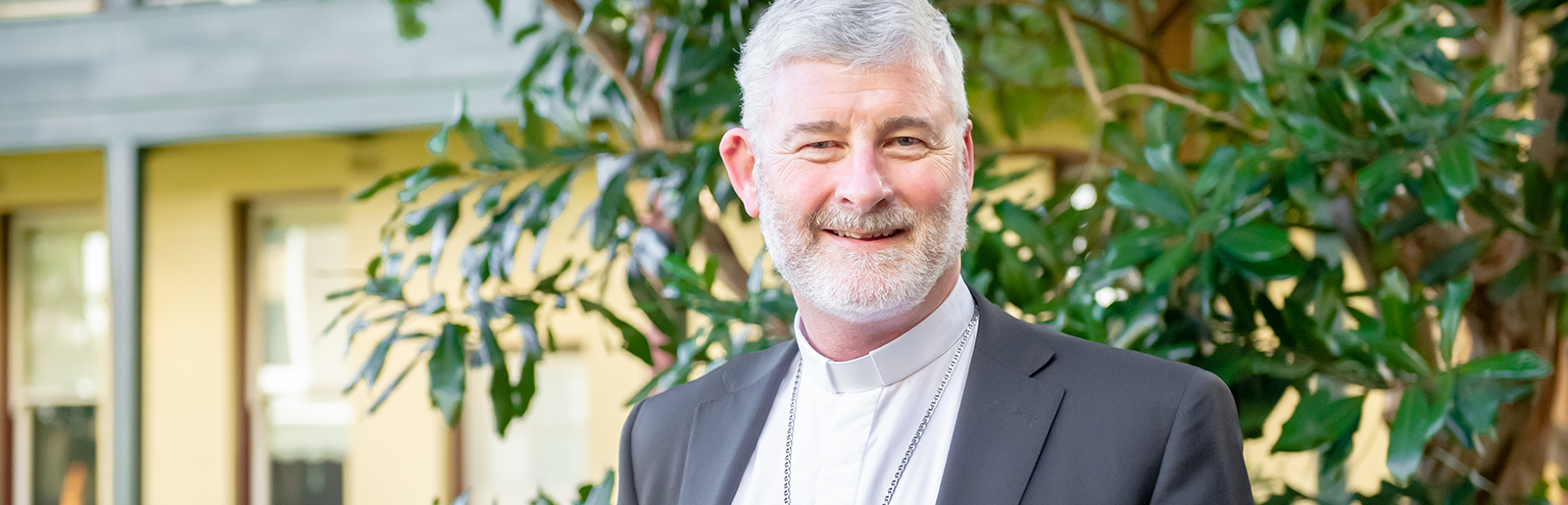 BCP_ArchShane_Banner